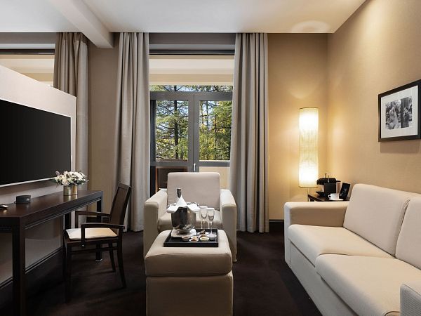 Делюкс с видом на парк