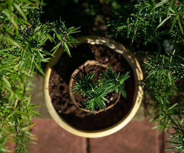 Экологический проект