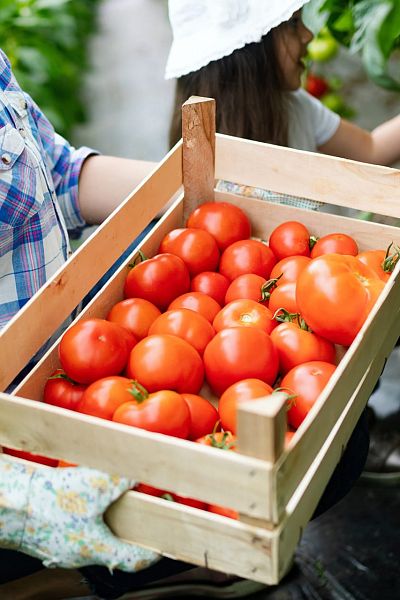 Фермерские продукты в RODINA!