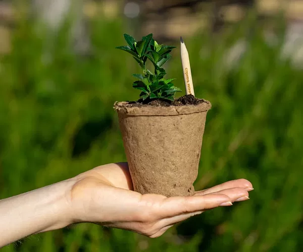 Экологический проект