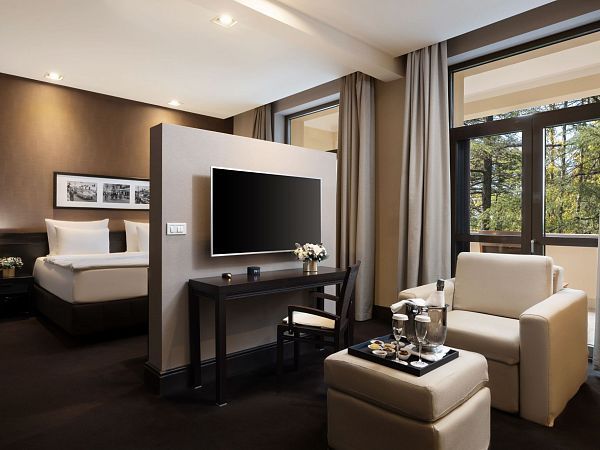 Делюкс с видом на парк