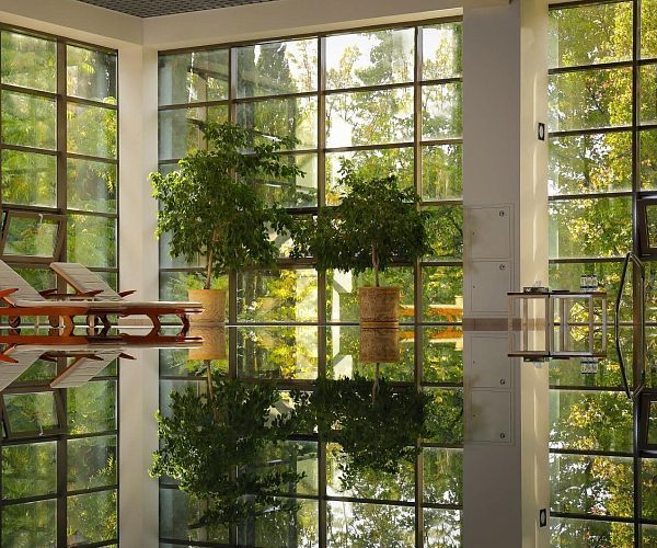 Бассейны и wellness